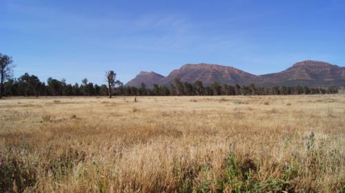 Flinders Ranges 4