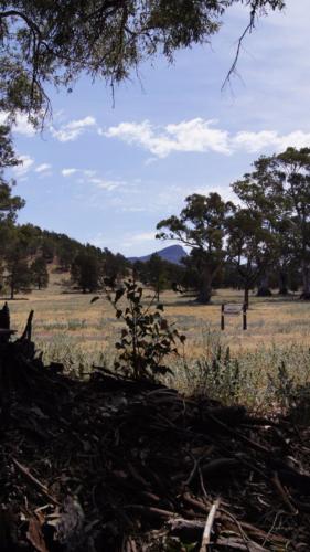 Flinders Ranges - Farmstead 1