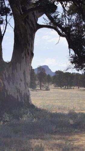 Flinders Ranges - Farmstead 3
