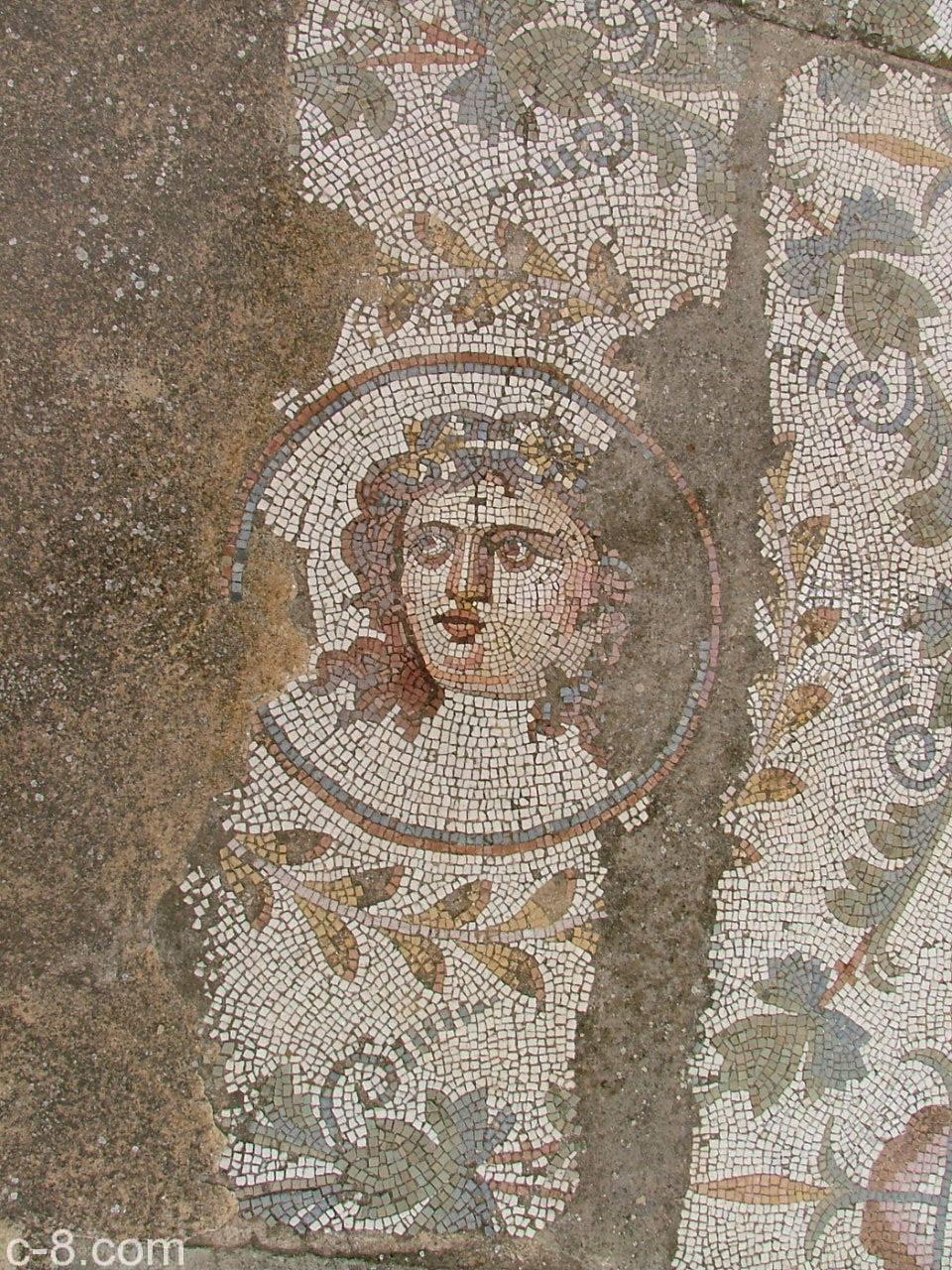 Roman Mosaic