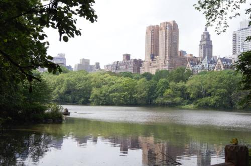 Central Park 2